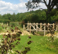 Buttercup barn